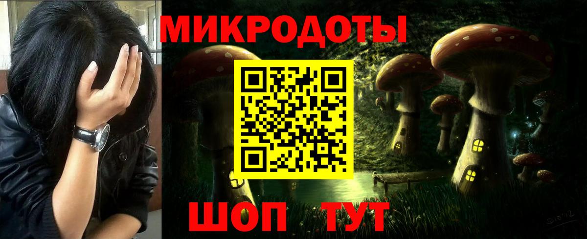 Псилоцибиновые грибы Psilocybe Каменск-Шахтинский